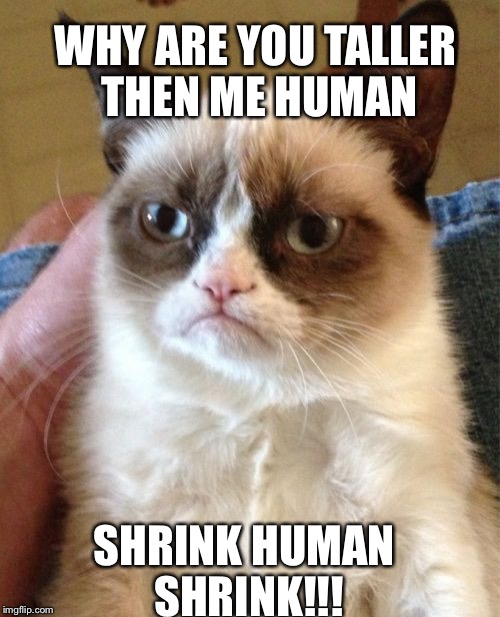 Grumpy Cat Meme | WHY ARE YOU TALLER THEN ME HUMAN; SHRINK HUMAN SHRINK!!! | image tagged in memes,grumpy cat | made w/ Imgflip meme maker