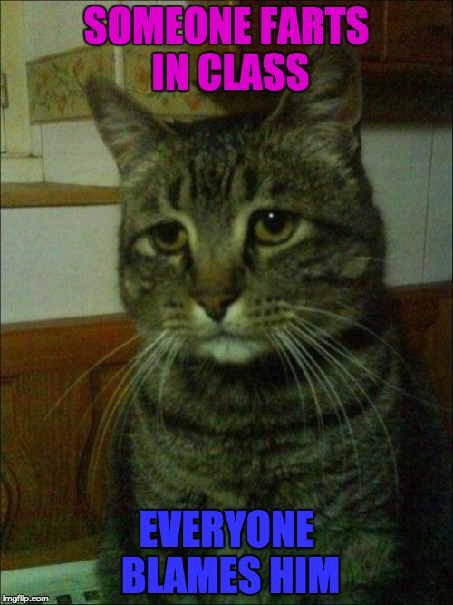 This Was Me Once  | SOMEONE FARTS IN CLASS; EVERYONE BLAMES HIM | image tagged in memes,depressed cat | made w/ Imgflip meme maker