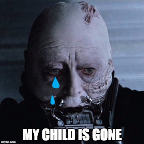 MY CHILD IS GONE | image tagged in darth vader | made w/ Imgflip meme maker