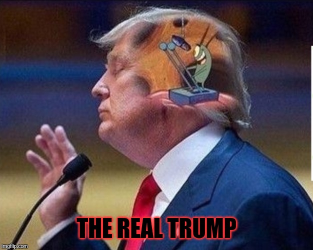 The real trump | THE REAL TRUMP | image tagged in donald trump,trump 2016 | made w/ Imgflip meme maker