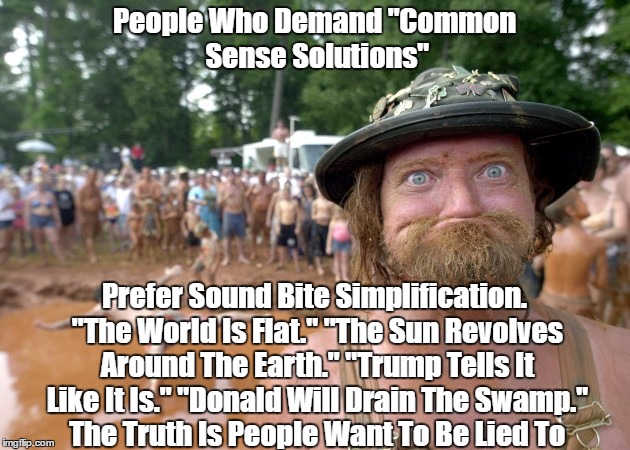 Trump: People Want To Be Lied To | People Who Demand "Common Sense Solutions" Prefer Sound Bite Simplification. "The World Is Flat." "The Sun Revolves Around The Earth." "Trum | image tagged in trump,common sense,sound bites,falsehood,deception,delusion | made w/ Imgflip meme maker