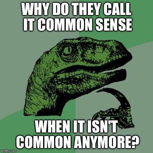 Philosoraptor | WHY DO THEY CALL IT COMMON SENSE; WHEN IT ISN'T COMMON ANYMORE? | image tagged in memes,philosoraptor | made w/ Imgflip meme maker