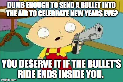 Stewie Aims Gun | DUMB ENOUGH TO SEND A BULLET INTO THE AIR TO CELEBRATE NEW YEARS EVE? YOU DESERVE IT IF THE BULLET'S RIDE ENDS INSIDE YOU. | image tagged in stewie aims gun | made w/ Imgflip meme maker