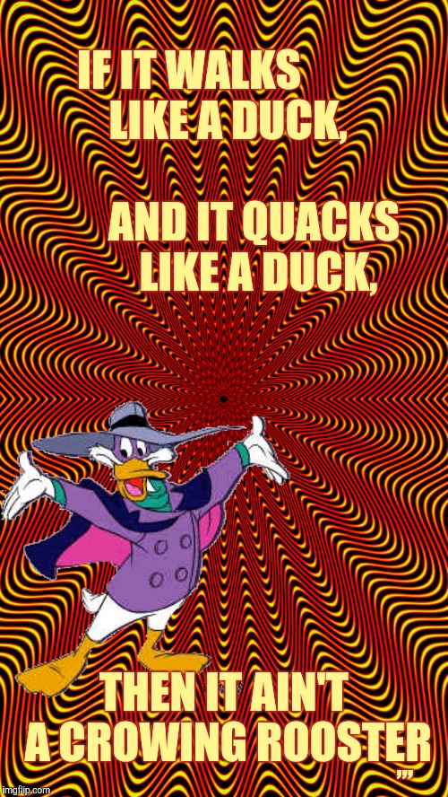 Because things are confusing sometimes,,, | IF IT WALKS  




  LIKE A DUCK,           
              AND IT QUACKS  


    LIKE A DUCK, ,,, THEN IT AIN'T A CROWING ROOSTER | image tagged in duck,if it walks like a duck,daffy | made w/ Imgflip meme maker