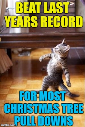 That's gotta feel good :) | BEAT LAST YEARS RECORD; FOR MOST CHRISTMAS TREE PULL DOWNS | image tagged in walking cat,memes,christmas tree,christmas,animals,cats | made w/ Imgflip meme maker