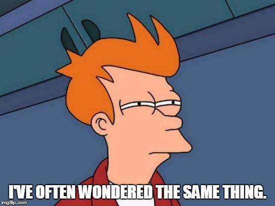 Futurama Fry Meme | I'VE OFTEN WONDERED THE SAME THING. | image tagged in memes,futurama fry | made w/ Imgflip meme maker