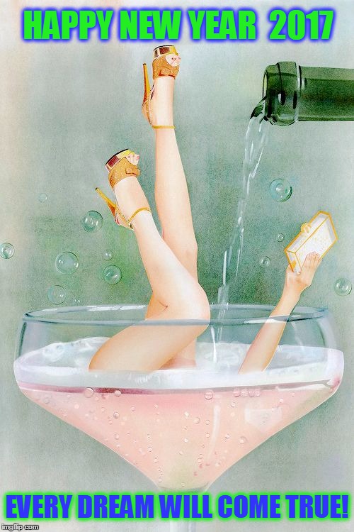 Happy New Year 2017 | HAPPY NEW YEAR  2017; EVERY DREAM WILL COME TRUE! | image tagged in happy new year,champagne,pretty legs,vince vance,2016-2017,girl in champagne glass | made w/ Imgflip meme maker