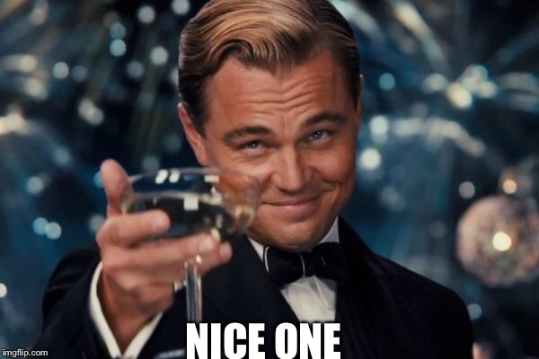 Leonardo Dicaprio Cheers Meme | NICE ONE | image tagged in memes,leonardo dicaprio cheers | made w/ Imgflip meme maker