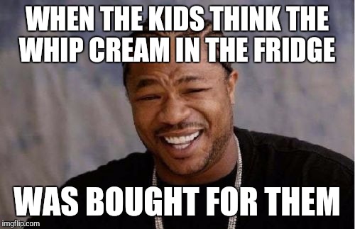 Yo Dawg Heard You Meme | WHEN THE KIDS THINK THE WHIP CREAM IN THE FRIDGE; WAS BOUGHT FOR THEM | image tagged in memes,yo dawg heard you | made w/ Imgflip meme maker