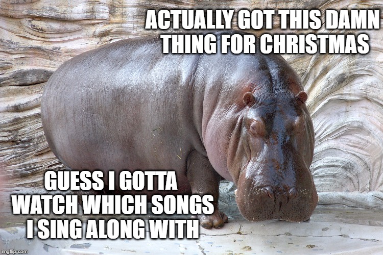 I got a hippo for Christmas | ACTUALLY GOT THIS DAMN THING FOR CHRISTMAS; GUESS I GOTTA WATCH WHICH SONGS I SING ALONG WITH | image tagged in hippopotamus,memes,hippo,merry christmas,gifts,funny animals | made w/ Imgflip meme maker