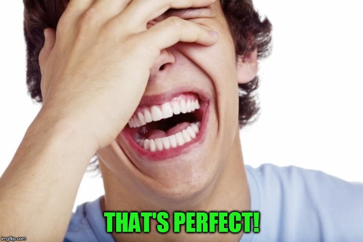 THAT'S PERFECT! | made w/ Imgflip meme maker