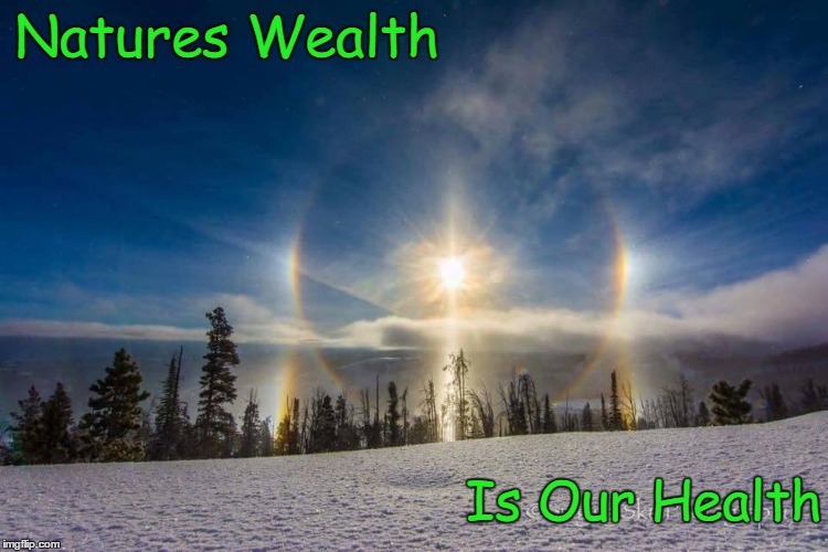 natures dream catcher | Natures Wealth; Is Our Health | image tagged in nature | made w/ Imgflip meme maker