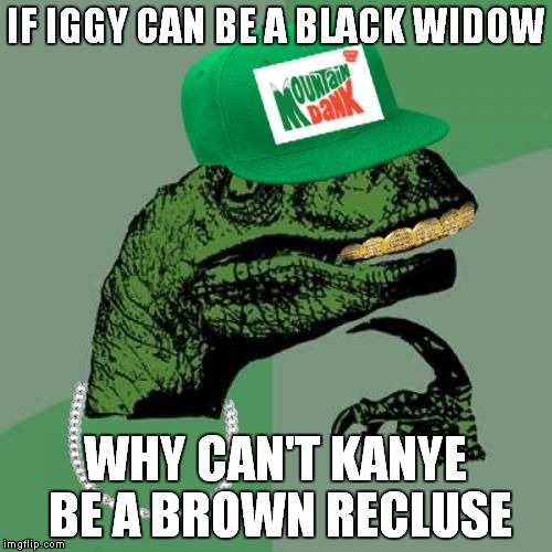 philosorapper | IF IGGY CAN BE A BLACK WIDOW; WHY CAN'T KANYE BE A BROWN RECLUSE | image tagged in philosorapper | made w/ Imgflip meme maker