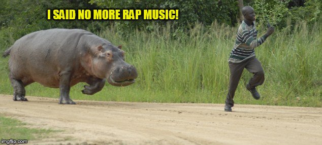 I SAID NO MORE RAP MUSIC! | made w/ Imgflip meme maker