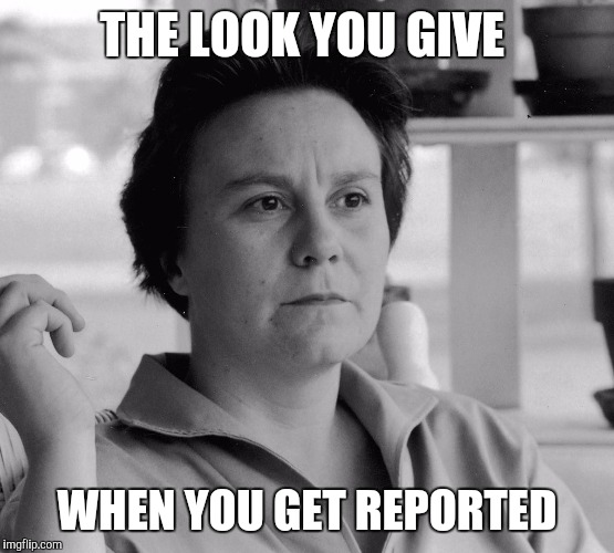 THE LOOK YOU GIVE; WHEN YOU GET REPORTED | image tagged in harper lee,died in 2016,funny memes,memes | made w/ Imgflip meme maker