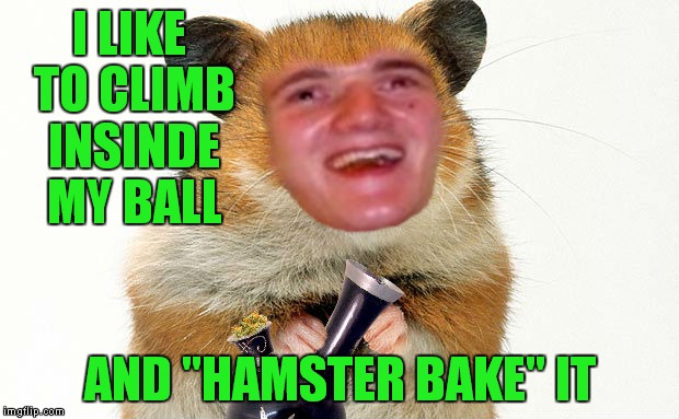 Made this commenting on a Raydog meme... | I LIKE TO CLIMB INSINDE MY BALL; AND "HAMSTER BAKE" IT | image tagged in 10 guy,hamster | made w/ Imgflip meme maker