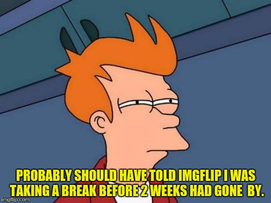 Futuromoo. | PROBABLY SHOULD HAVE TOLD IMGFLIP I WAS TAKING A BREAK BEFORE 2 WEEKS HAD GONE  BY. | image tagged in memes,futurama fry,break,cheesebag | made w/ Imgflip meme maker