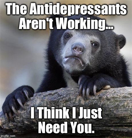 I Just Need You  | The Antidepressants Aren't Working... I Think I Just Need You. | image tagged in memes,confession bear,love,relationships,medicine | made w/ Imgflip meme maker