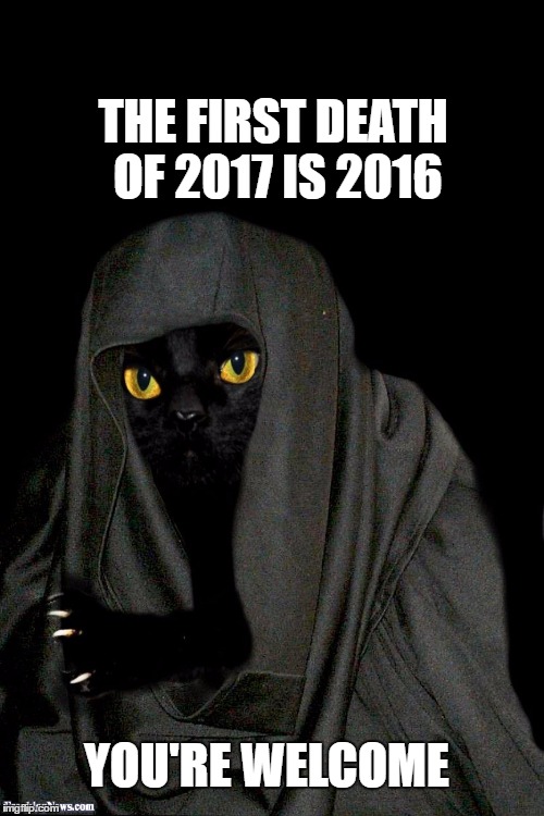 THE FIRST DEATH OF 2017 IS 2016; YOU'RE WELCOME | image tagged in 2017 | made w/ Imgflip meme maker
