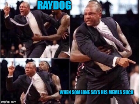 One title to rule them all  | RAYDOG; WHEN SOMEONE SAYS HIS MEMES SUCK | image tagged in raydog,memes,memes about memes | made w/ Imgflip meme maker