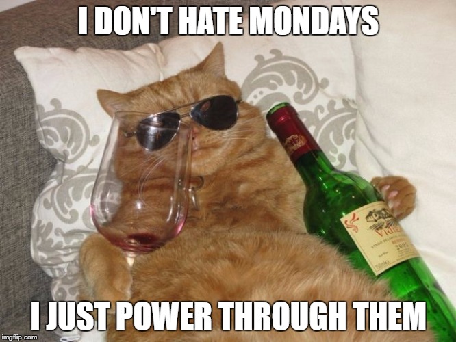  I DON'T HATE MONDAYS; I JUST POWER THROUGH THEM | image tagged in fat drunk cat | made w/ Imgflip meme maker