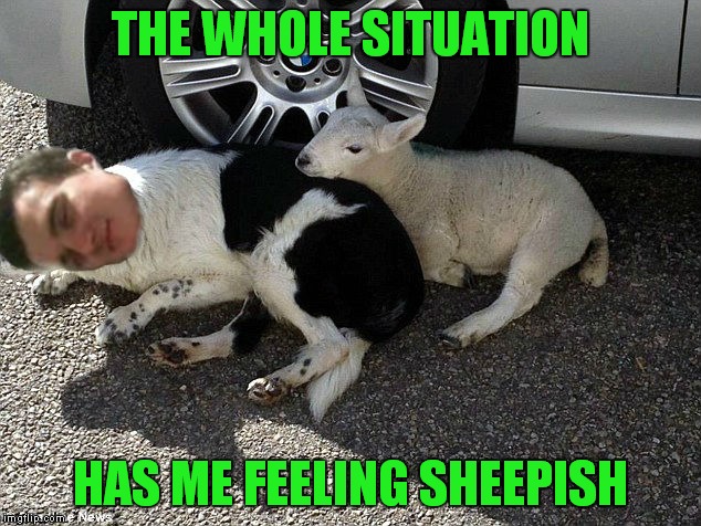 THE WHOLE SITUATION HAS ME FEELING SHEEPISH | made w/ Imgflip meme maker