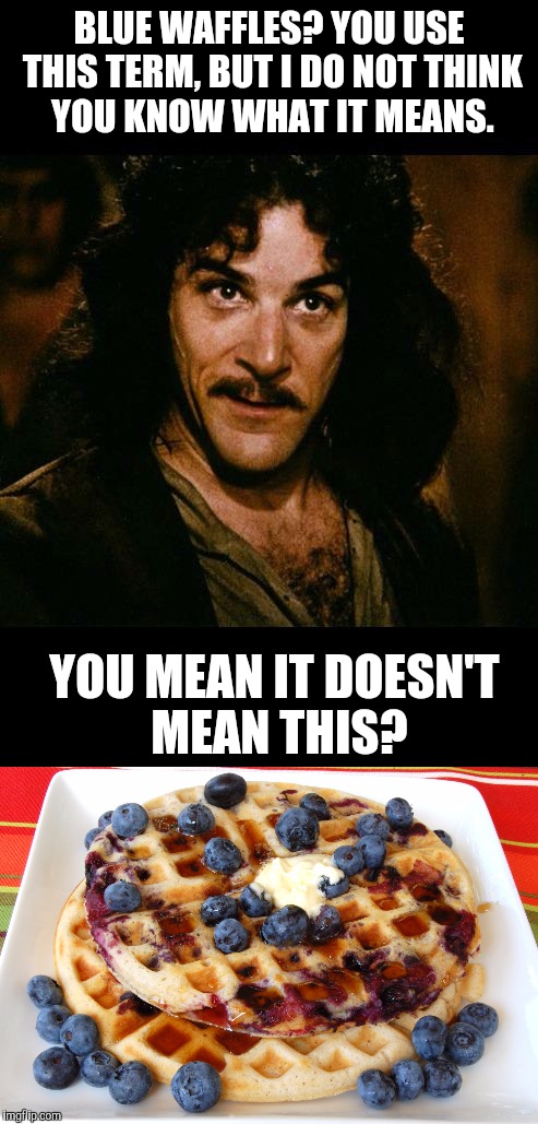 Googled it. I think I'll skip breakfast | BLUE WAFFLES? YOU USE THIS TERM, BUT I DO NOT THINK YOU KNOW WHAT IT MEANS. YOU MEAN IT DOESN'T MEAN THIS? | image tagged in inigo montoya,memes,waffles,blue | made w/ Imgflip meme maker