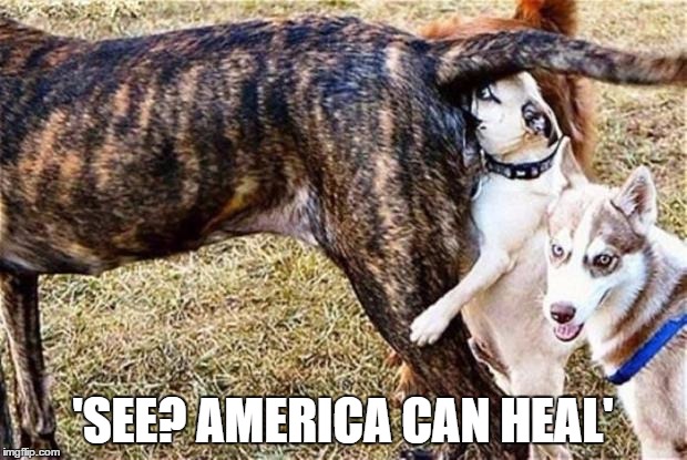 Butt sniff | 'SEE? AMERICA CAN HEAL' | image tagged in butt sniff | made w/ Imgflip meme maker