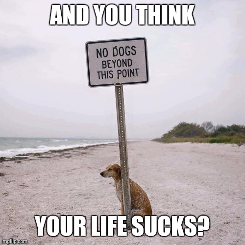 Fight the Power No Dogs | AND YOU THINK; YOUR LIFE SUCKS? | image tagged in fight the power no dogs | made w/ Imgflip meme maker