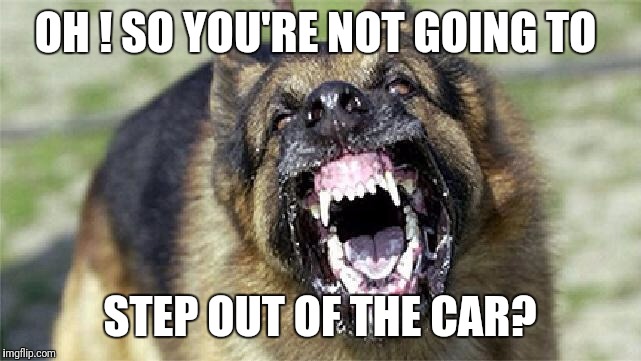 Cry 'Havoc' and let slip the dogs of war! | OH ! SO YOU'RE NOT GOING TO; STEP OUT OF THE CAR? | image tagged in cry 'havoc' and let slip the dogs of war | made w/ Imgflip meme maker