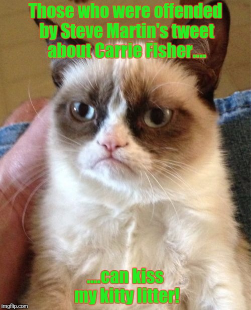 Grumpy Cat | Those who were offended by Steve Martin's tweet about Carrie Fisher.... ....can kiss my kitty litter! | image tagged in memes,grumpy cat | made w/ Imgflip meme maker