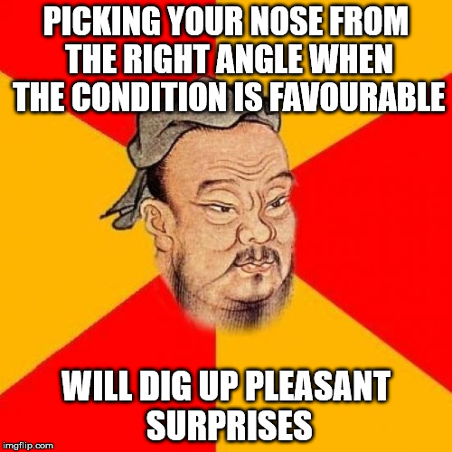 Confucius Says | PICKING YOUR NOSE FROM THE RIGHT ANGLE WHEN THE CONDITION IS FAVOURABLE; WILL DIG UP PLEASANT SURPRISES | image tagged in confucius says | made w/ Imgflip meme maker