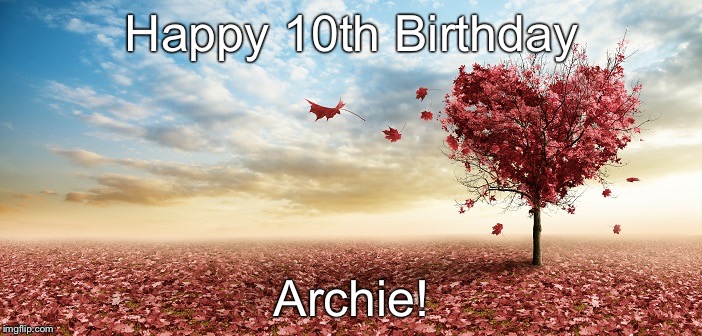 nature | Happy 10th Birthday; Archie! | image tagged in nature | made w/ Imgflip meme maker