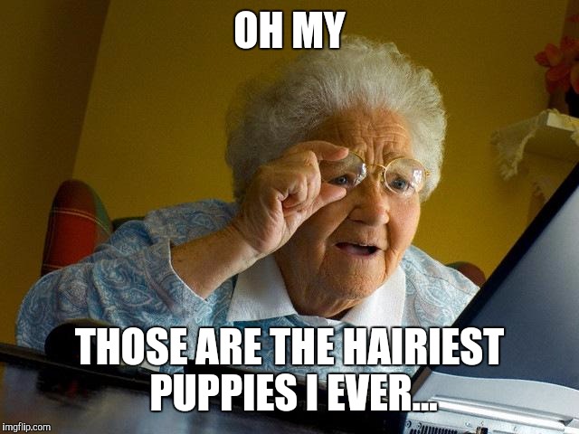 Hairiest something... | OH MY; THOSE ARE THE HAIRIEST PUPPIES I EVER... | image tagged in memes,grandma finds the internet,funny memes,hairy | made w/ Imgflip meme maker