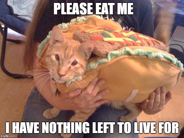 PLEASE EAT ME; I HAVE NOTHING LEFT TO LIVE FOR | image tagged in taco | made w/ Imgflip meme maker
