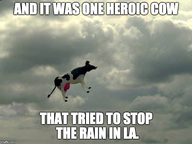 Cows can fly | AND IT WAS ONE HEROIC COW; THAT TRIED TO STOP THE RAIN IN LA. | image tagged in cows can fly | made w/ Imgflip meme maker