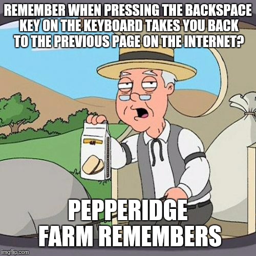 Pepperidge Farm Remembers | REMEMBER WHEN PRESSING THE BACKSPACE KEY ON THE KEYBOARD TAKES YOU BACK TO THE PREVIOUS PAGE ON THE INTERNET? PEPPERIDGE FARM REMEMBERS | image tagged in memes,pepperidge farm remembers | made w/ Imgflip meme maker