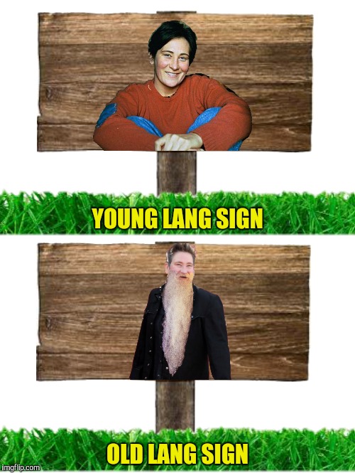 Happy New Year! | YOUNG LANG SIGN; OLD LANG SIGN | image tagged in k d lang,auld lang syne | made w/ Imgflip meme maker