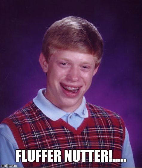 Bad Luck Brian Meme | FLUFFER NUTTER!..... | image tagged in memes,bad luck brian | made w/ Imgflip meme maker