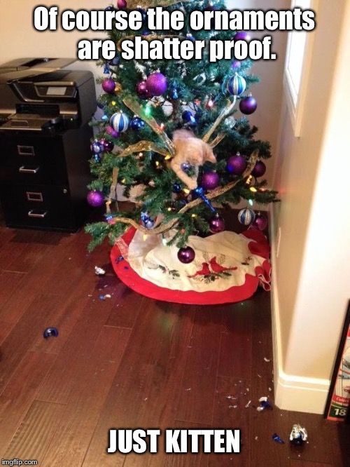 Of course the ornaments are shatter proof. JUST KITTEN | image tagged in memes,funny,christmas,christmas tree,cats | made w/ Imgflip meme maker