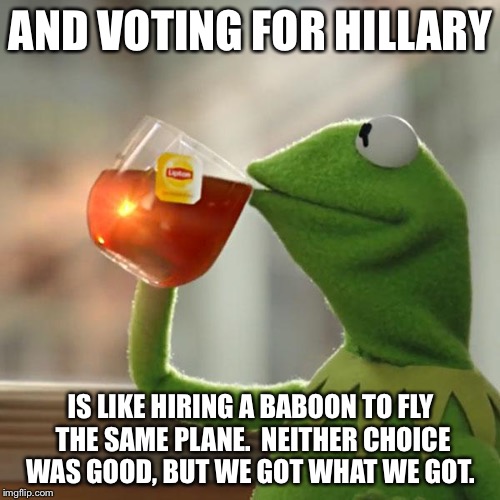 But That's None Of My Business Meme | AND VOTING FOR HILLARY IS LIKE HIRING A BABOON TO FLY THE SAME PLANE.  NEITHER CHOICE WAS GOOD, BUT WE GOT WHAT WE GOT. | image tagged in memes,but thats none of my business,kermit the frog | made w/ Imgflip meme maker