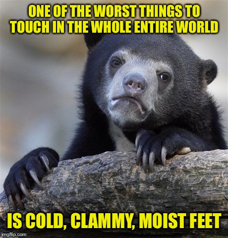 Confession Bear Meme | ONE OF THE WORST THINGS TO TOUCH IN THE WHOLE ENTIRE WORLD; IS COLD, CLAMMY, MOIST FEET | image tagged in memes,confession bear | made w/ Imgflip meme maker