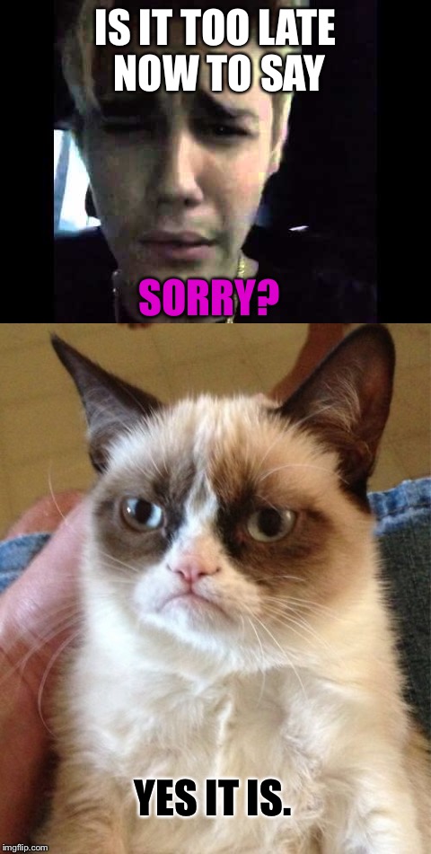 Well shall I be damned! | IS IT TOO LATE NOW TO SAY; SORRY? YES IT IS. | image tagged in justin bieber,grumpy cat,memes | made w/ Imgflip meme maker