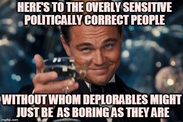 Leonardo Dicaprio Cheers Meme | HERE'S TO THE OVERLY SENSITIVE POLITICALLY CORRECT PEOPLE; WITHOUT WHOM DEPLORABLES MIGHT JUST BE  AS BORING AS THEY ARE | image tagged in memes,leonardo dicaprio cheers | made w/ Imgflip meme maker