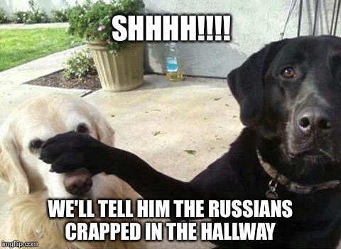 Dogs | SHHHH!!!! WE'LL TELL HIM THE RUSSIANS CRAPPED IN THE HALLWAY | image tagged in dogs | made w/ Imgflip meme maker