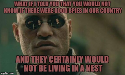 Russian spies living in a nest | WHAT IF I TOLD YOU THAT YOU WOULD NOT KNOW IF THERE WERE GOOD SPIES IN OUR COUNTRY; AND THEY CERTAINLY WOULD NOT BE LIVING IN A NEST | image tagged in memes,matrix morpheus | made w/ Imgflip meme maker