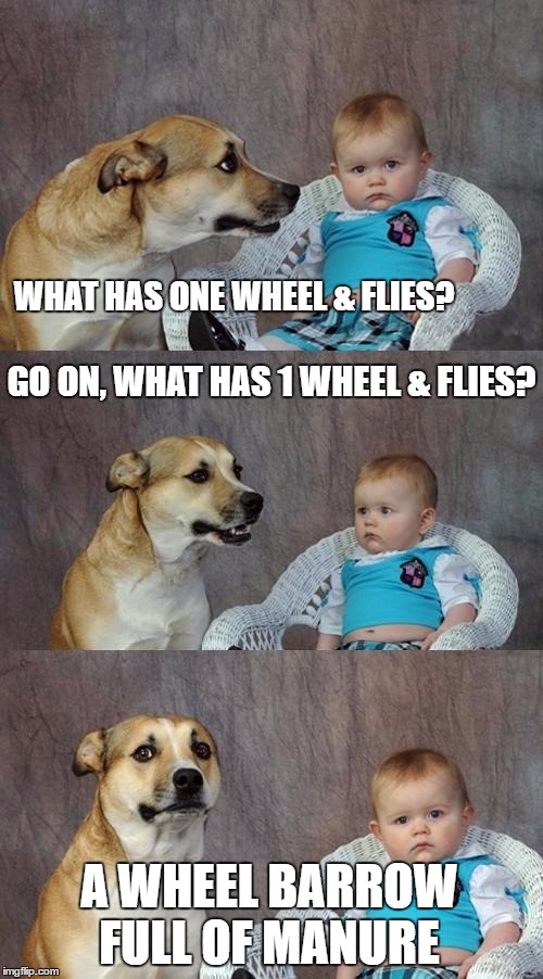 Dad Joke Dog | WHAT HAS ONE WHEEL & FLIES? GO ON, WHAT HAS 1 WHEEL & FLIES? A WHEEL BARROW FULL OF MANURE | image tagged in memes,dad joke dog | made w/ Imgflip meme maker