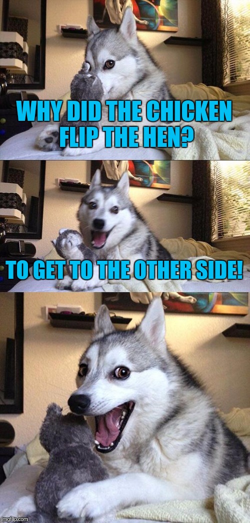 Bad Pun Dog Meme | WHY DID THE CHICKEN FLIP THE HEN? TO GET TO THE OTHER SIDE! | image tagged in memes,bad pun dog | made w/ Imgflip meme maker