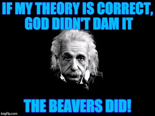 Albert Einstein 1 Meme | IF MY THEORY IS CORRECT, GOD DIDN'T DAM IT; THE BEAVERS DID! | image tagged in memes,albert einstein 1 | made w/ Imgflip meme maker