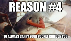 Shark Payback | REASON #4; TO ALWAYS CARRY YOUR POCKET KNIFE ON YOU | image tagged in funny | made w/ Imgflip meme maker